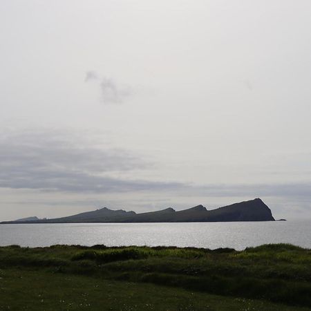 The Old Pier Guest Accommodation, Bed Only, No Breakfast Ballydavid Exterior photo